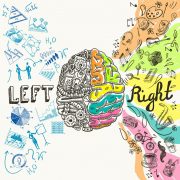 Left Brain/Right Brain Diagram